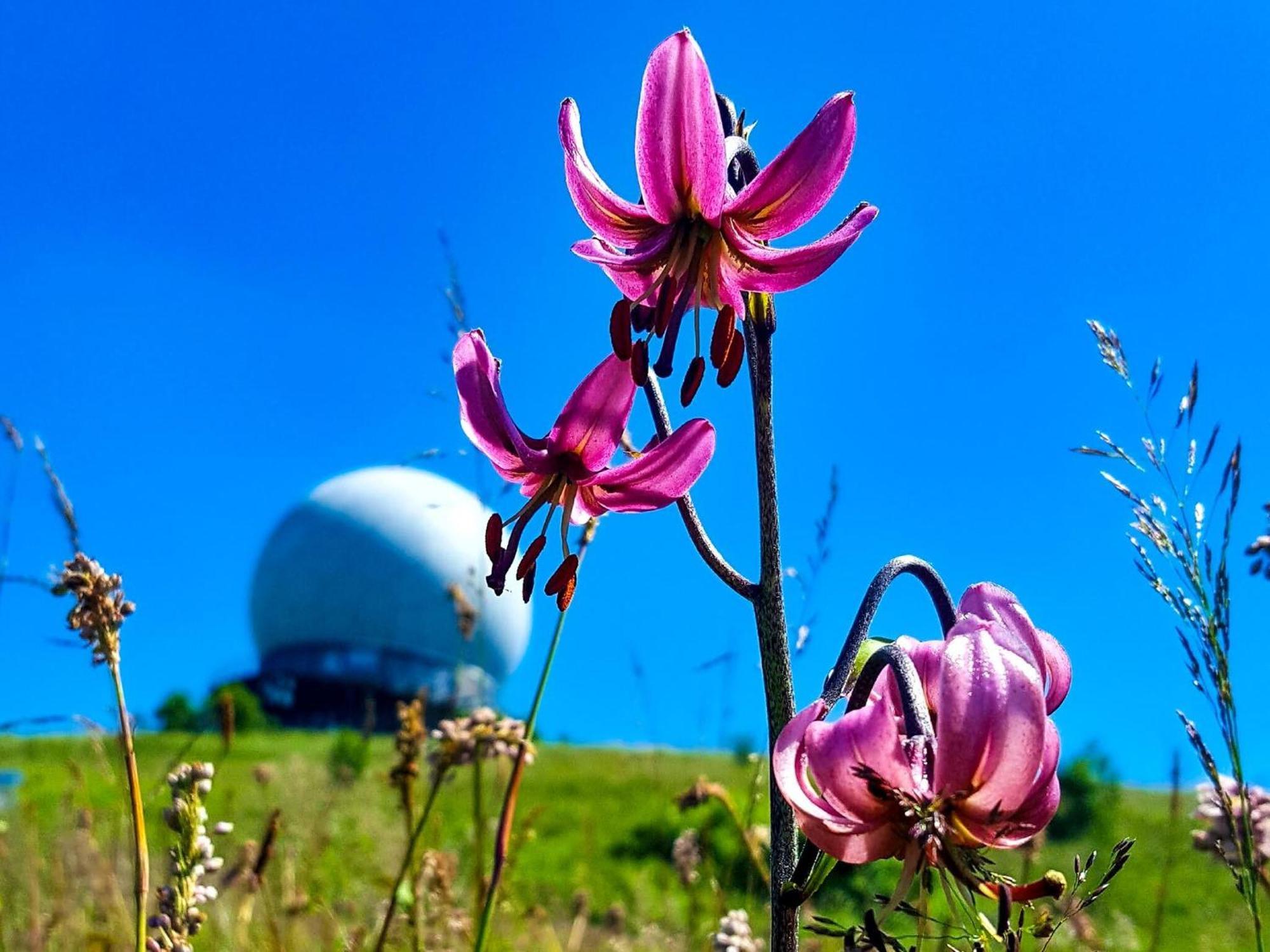 Peterchens Mondfahrt - Wasserkuppe เกอร์สเฟลด์ ภายนอก รูปภาพ