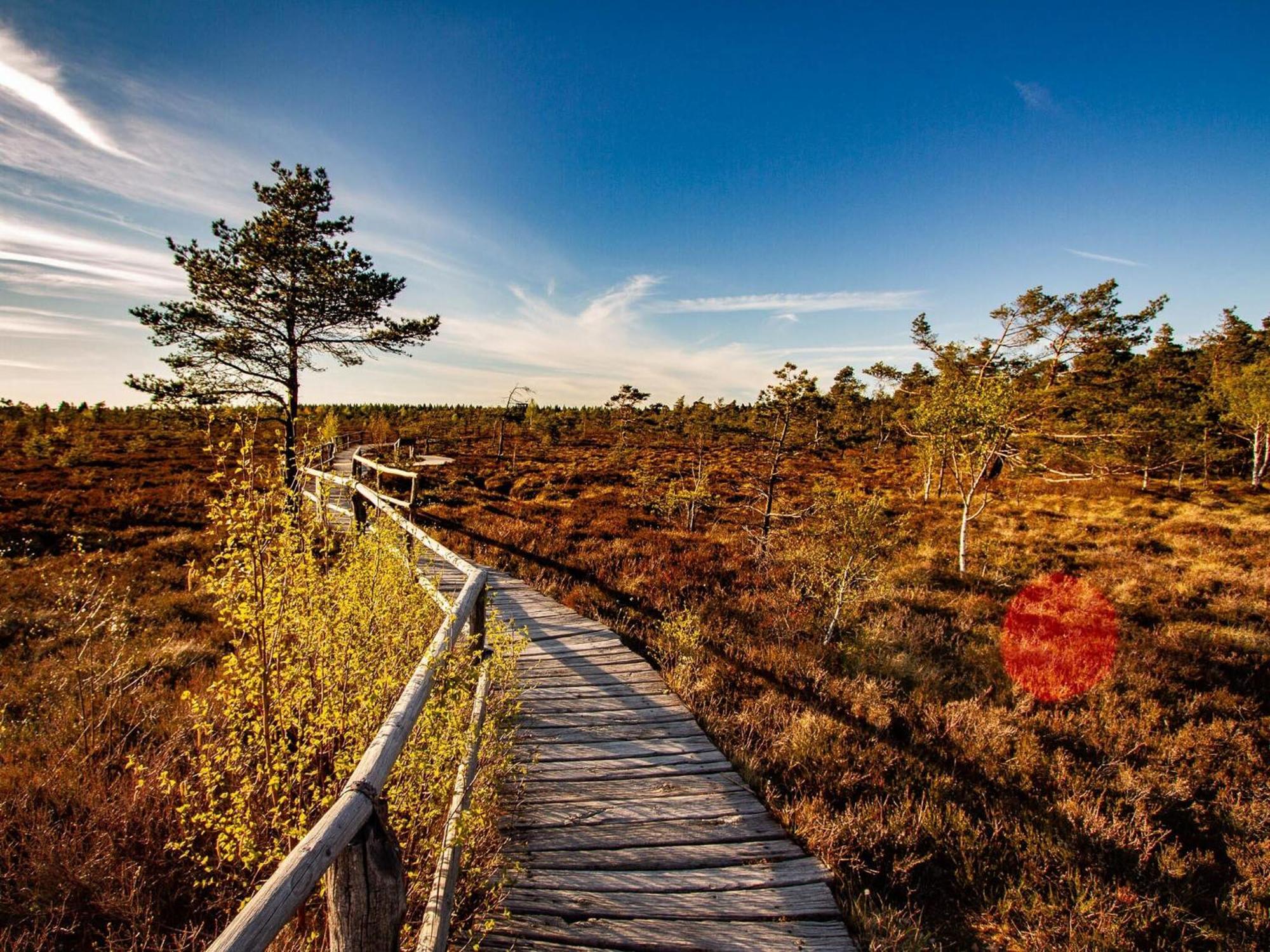 Peterchens Mondfahrt - Wasserkuppe เกอร์สเฟลด์ ภายนอก รูปภาพ
